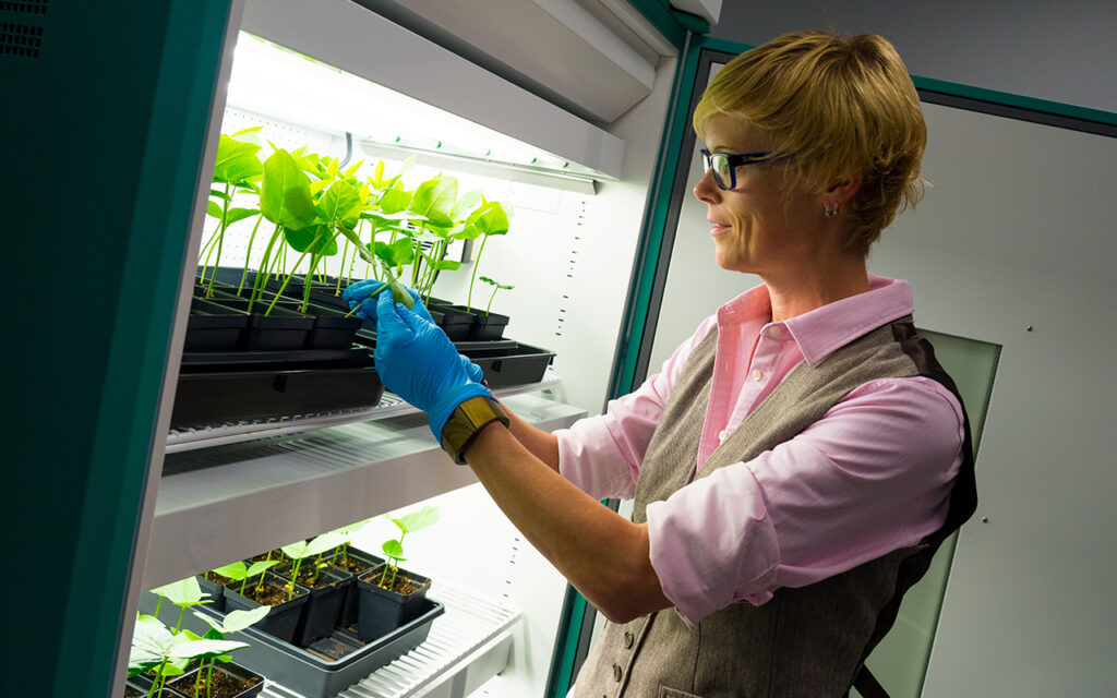 The mRNA Revolution Continues: Pioneering New Frontiers in Vaccine Development for a Healthier World