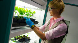 The mRNA Revolution Continues: Pioneering New Frontiers in Vaccine Development for a Healthier World