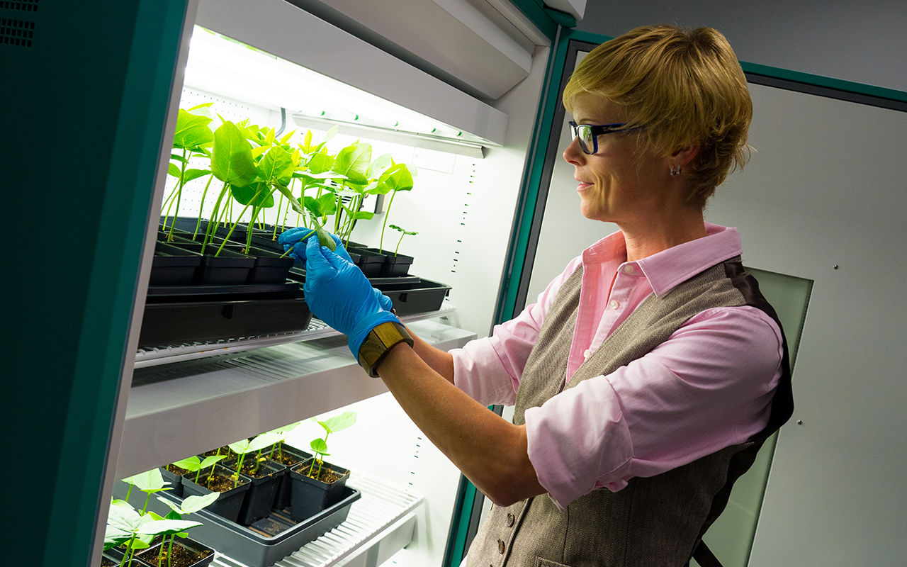 The mRNA Revolution Continues Pioneering New Frontiers in Vaccine Development for a Healthier World